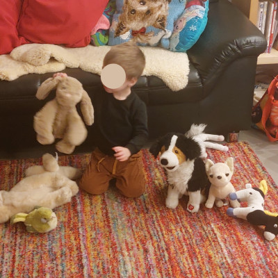 So viele Hunde So viele Hunde